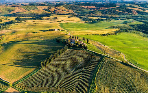 Tuscany's Wine Revolution: The Rise of Organic and Biodynamic Vintages